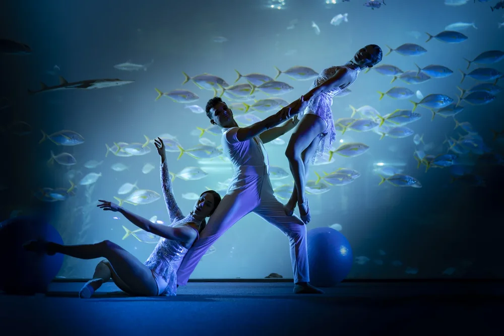 Escena de danza del musical SLPH ante el gran acuario