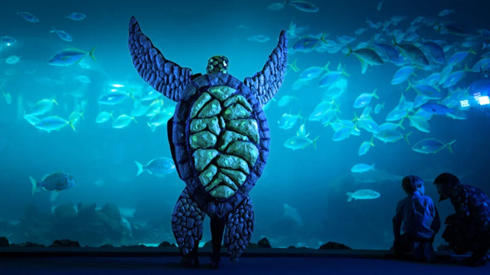 Doña Paciencia, la tortuga, ante un gran acuario mientras dos niños la observan